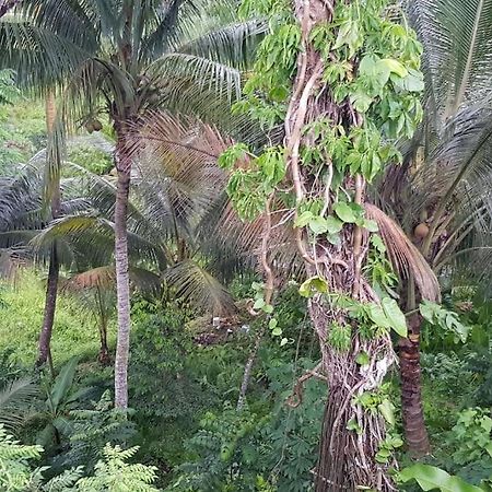 Hill Bottom Accommodation Suva Extérieur photo